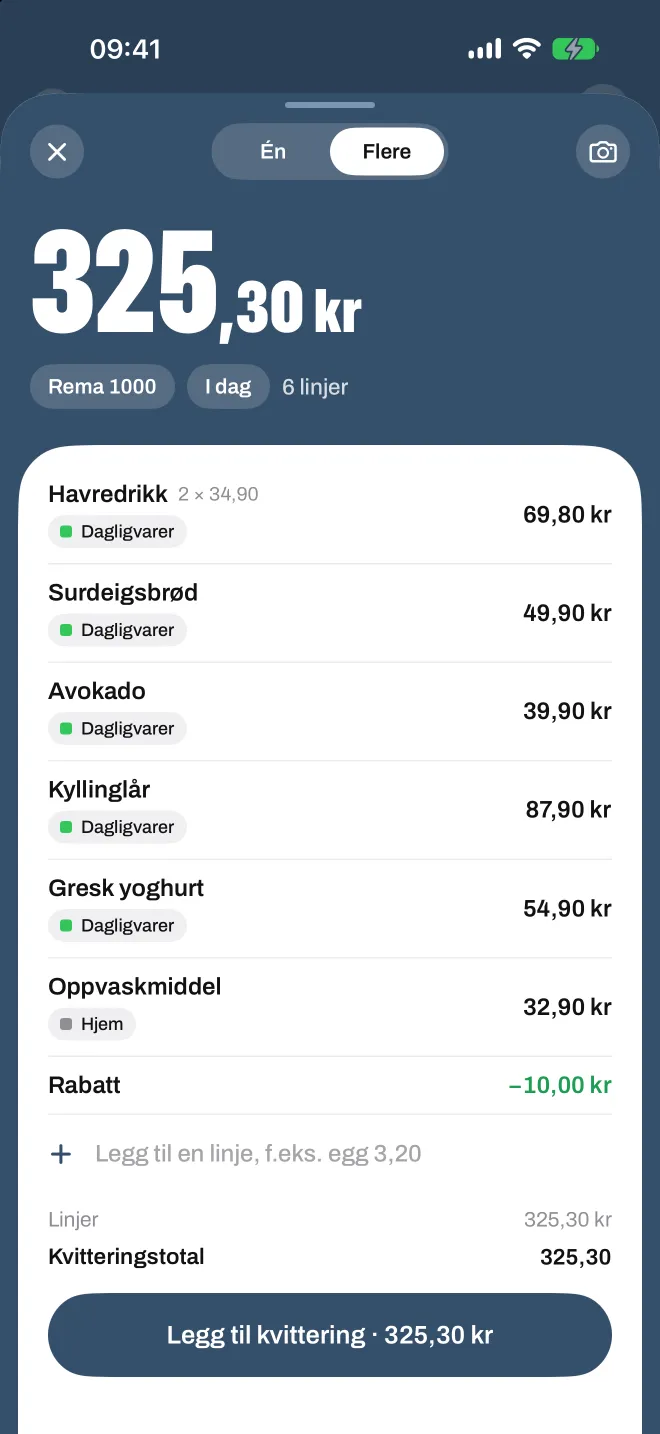 En skannet matkvittering i Spentio, hver linje med sin kategori